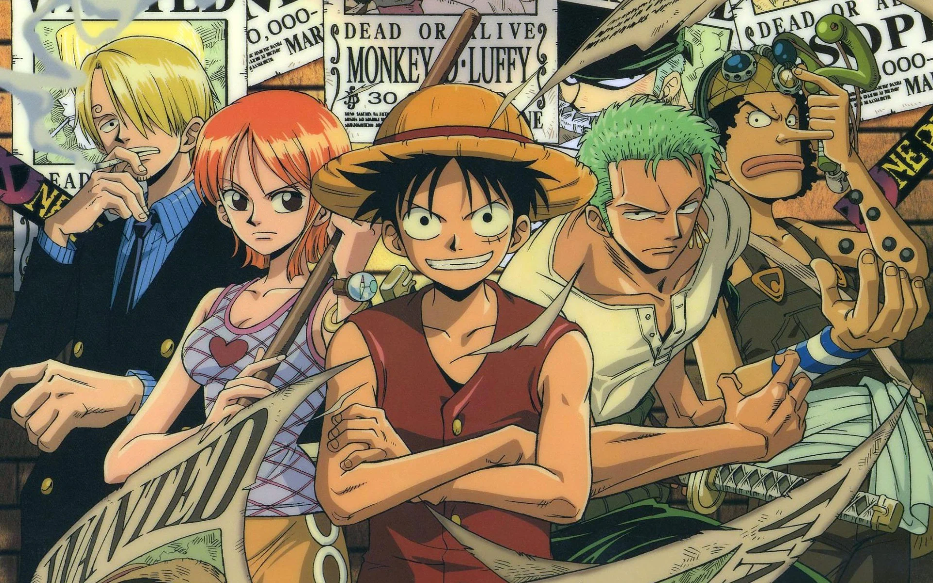 Picture of straw hat crew